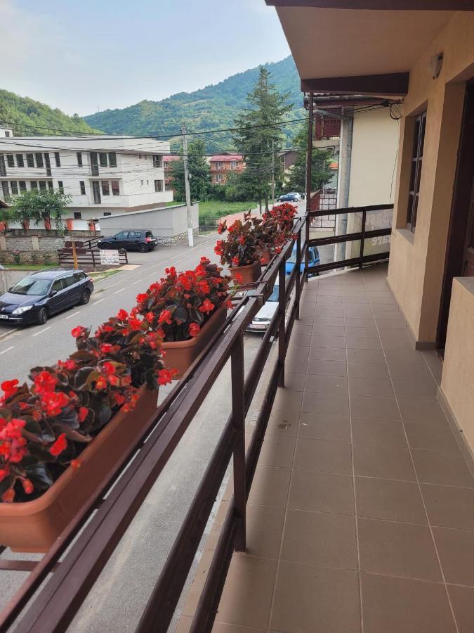 Villa Casa Basu Băile Herculane Exterior foto